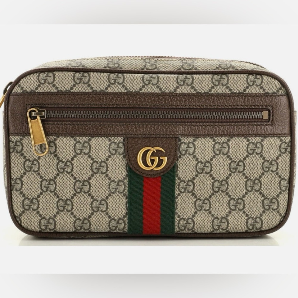 Gucci Ophidia Belt Bag